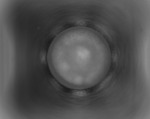 X0000100480185200806271210