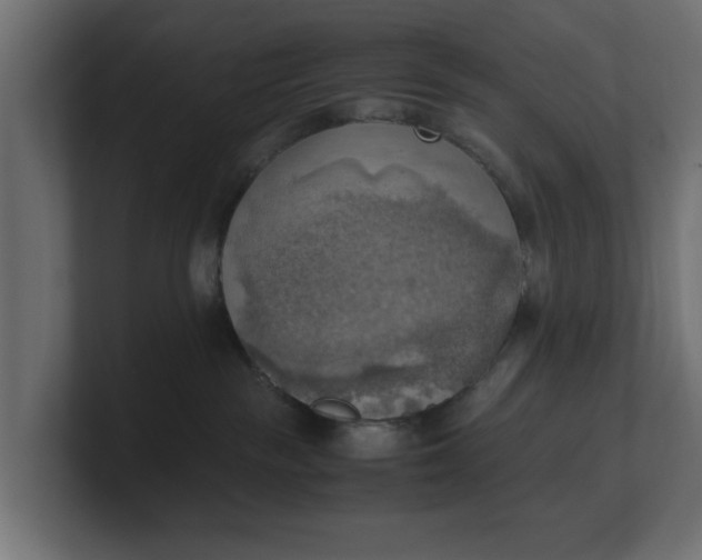 X0000100480189200806271210