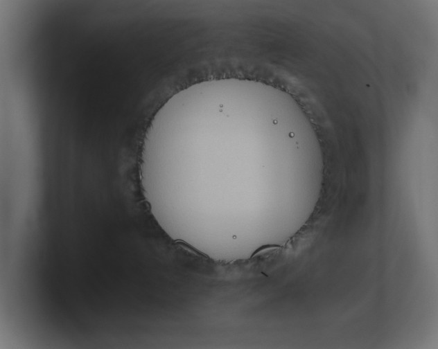 X0000100480192200806271210