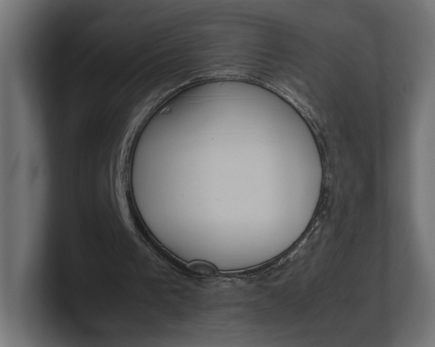 X0000100480193200806271209