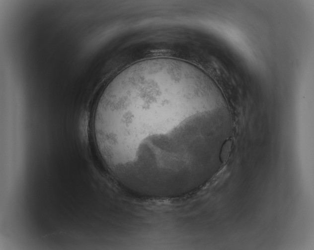 X0000100480194200806271209