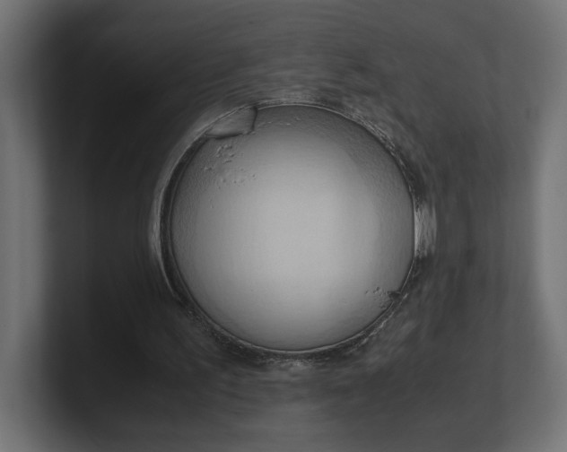 X0000100480195200806271209