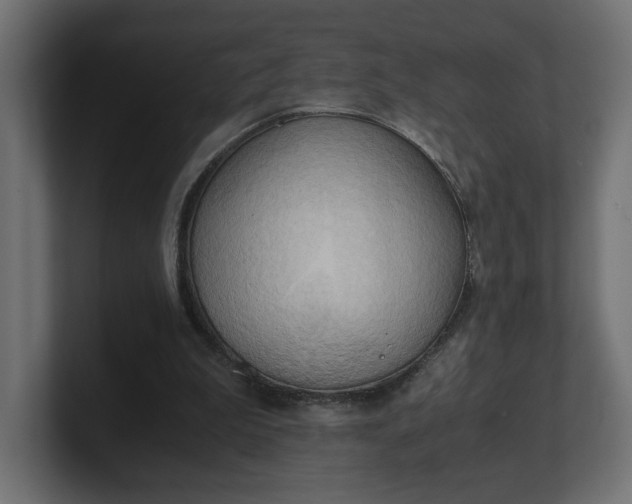 X0000100480199200806271209