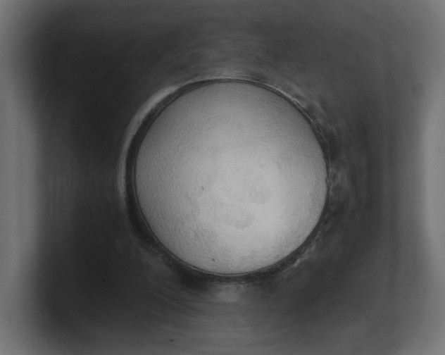 X0000100480200200806271209