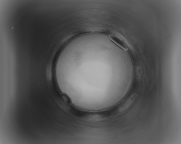 X0000100480203200806271209