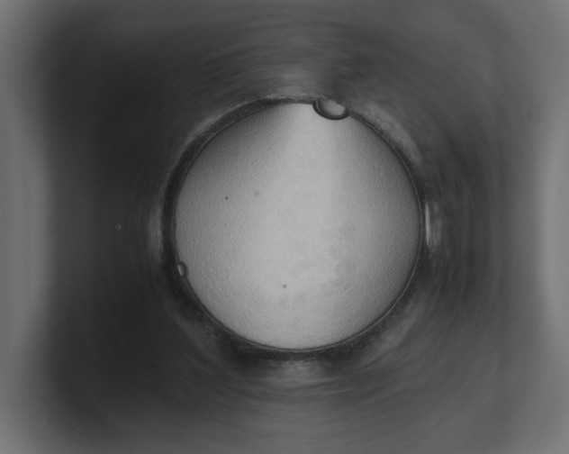 X0000100480204200806271209