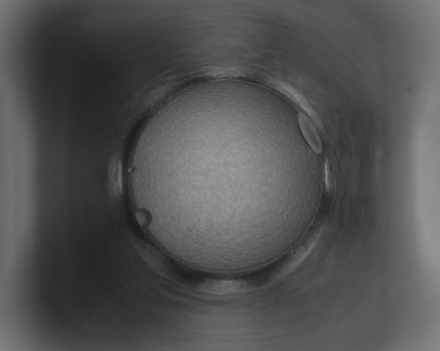 X0000100480205200806271209