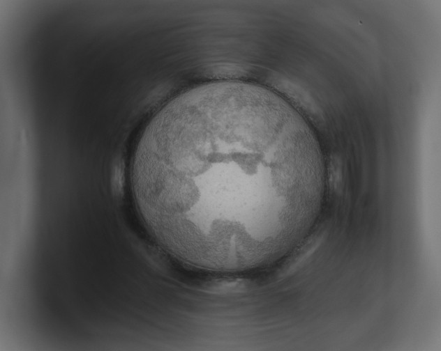 X0000100480206200806271209