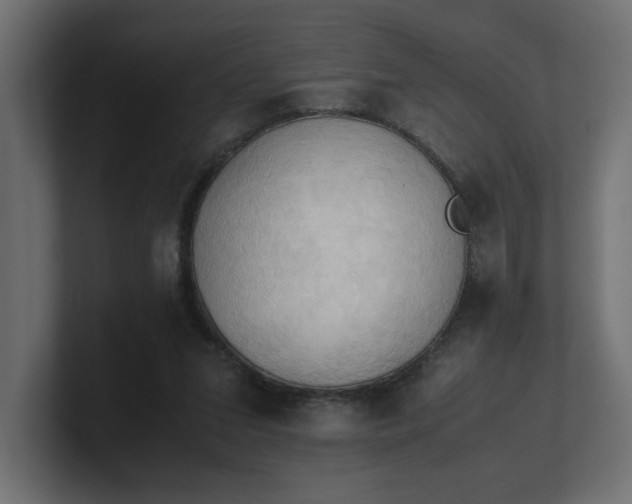 X0000100480207200806271209