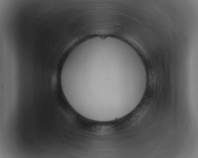 X0000100480208200806271209