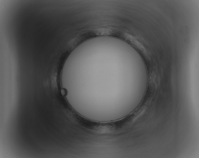 X0000100480209200806271209