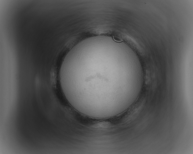 X0000100480210200806271209