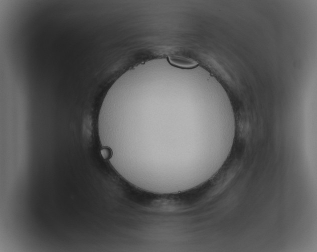 X0000100480211200806271209