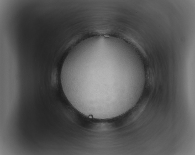 X0000100480212200806271209