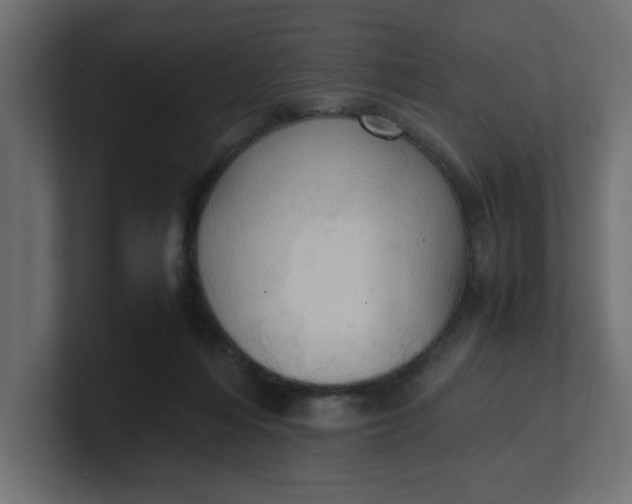 X0000100480216200806271209