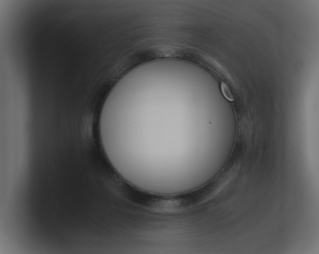 X0000100480217200806271209