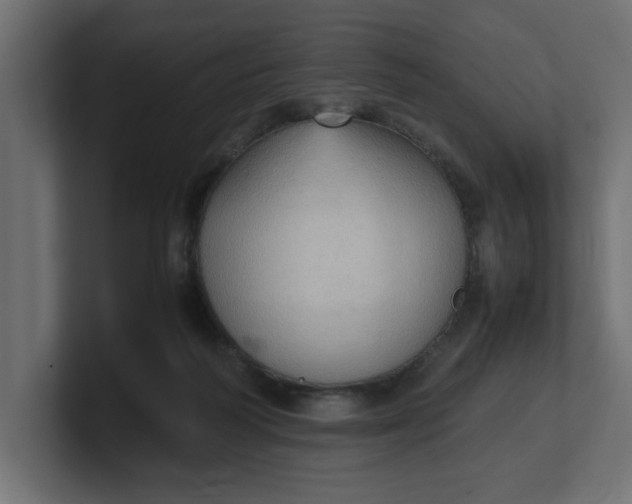 X0000100480218200806271209