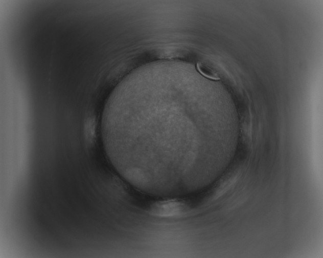 X0000100480219200806271209