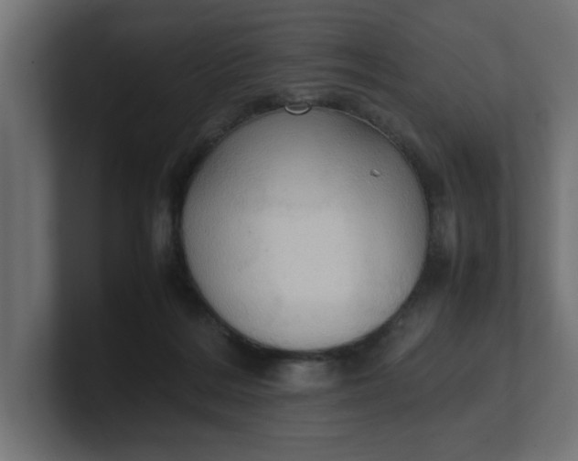 X0000100480220200806271209