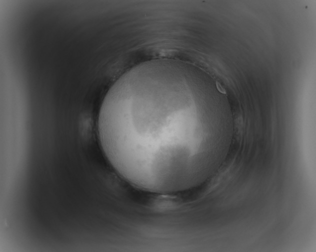 X0000100480222200806271209