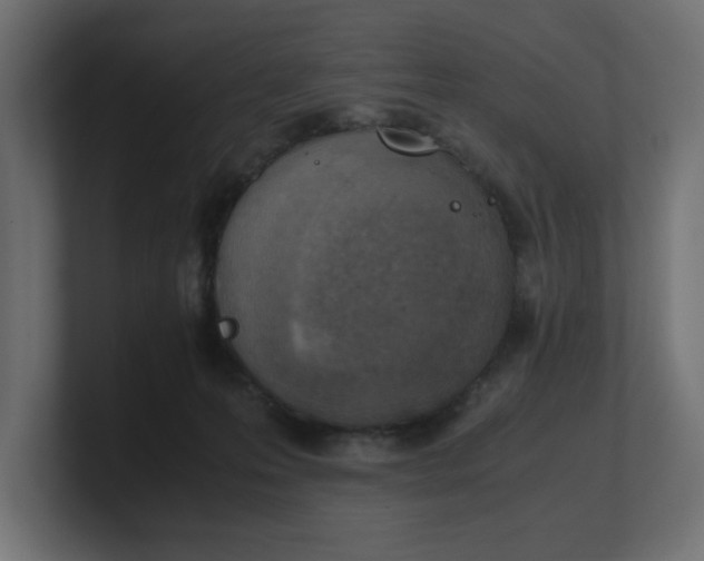 X0000100480223200806271209