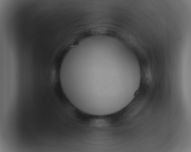 X0000100480224200806271209