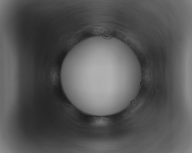 X0000100480226200806271209