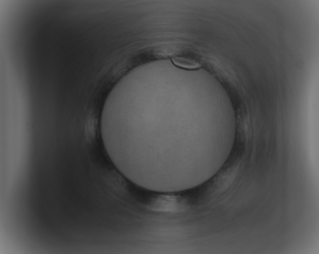 X0000100480227200806271209