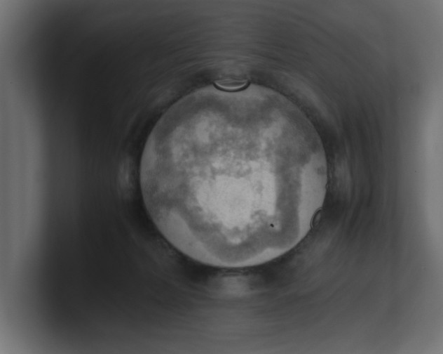 X0000100480228200806271209