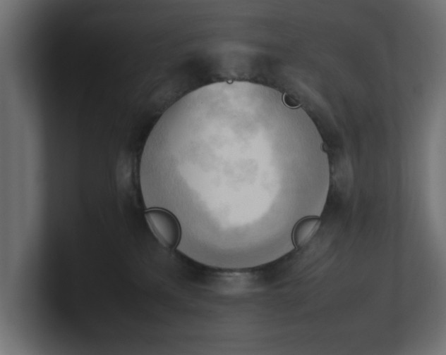 X0000100480233200806271209