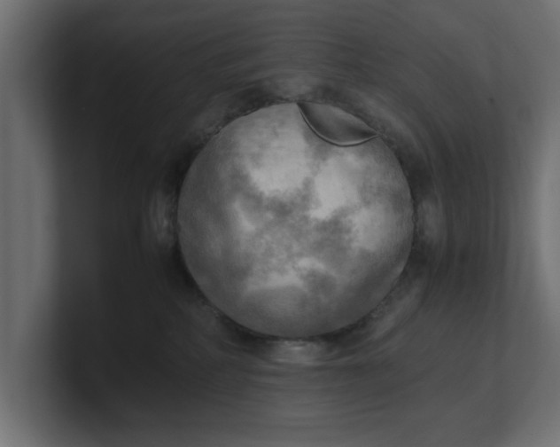 X0000100480234200806271209