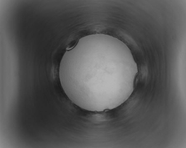 X0000100480236200806271209