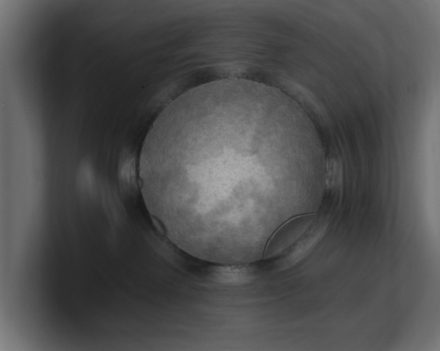 X0000100480238200806271209