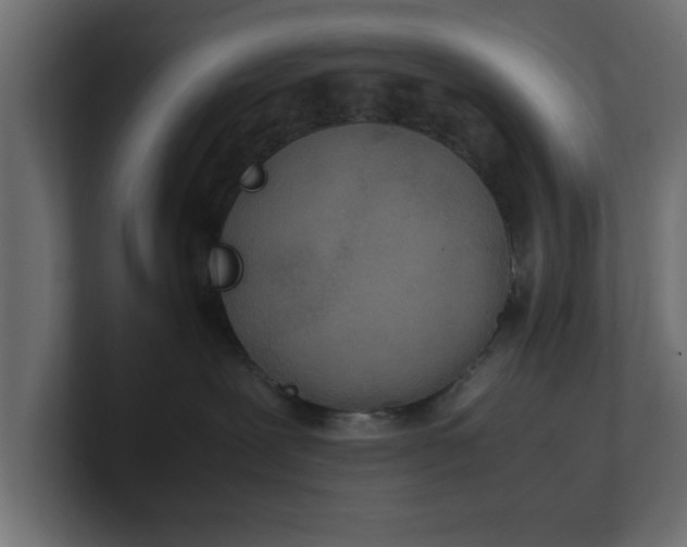 X0000100480239200806271209