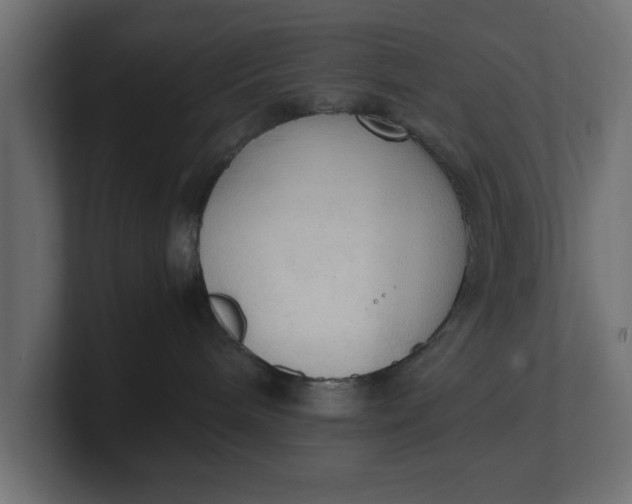 X0000100480240200806271209