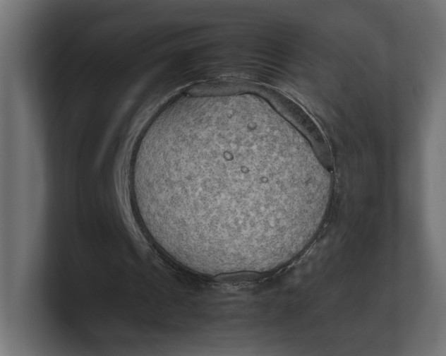 X0000100480241200806271208