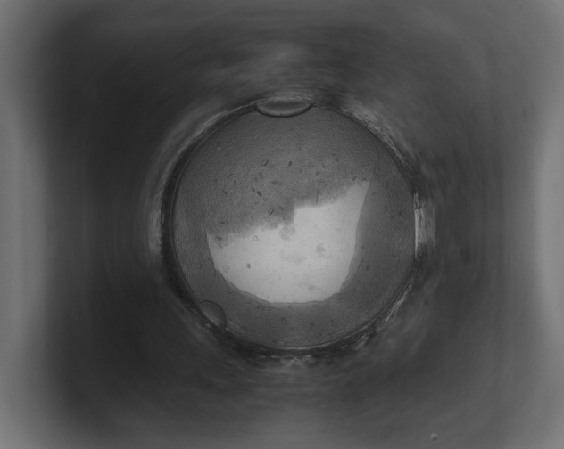 X0000100480243200806271208