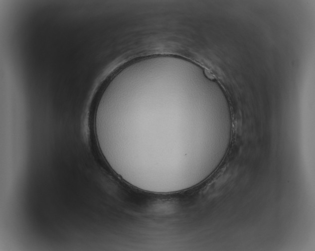 X0000100480248200806271208