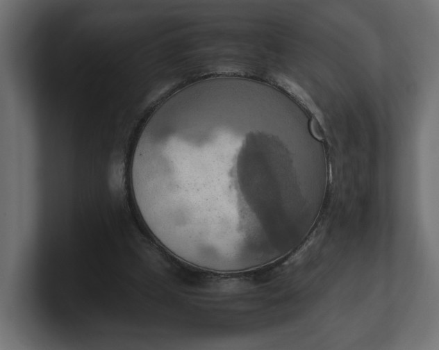 X0000100480249200806271208