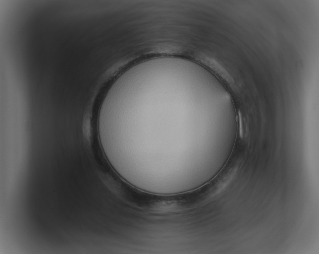 X0000100480252200806271208