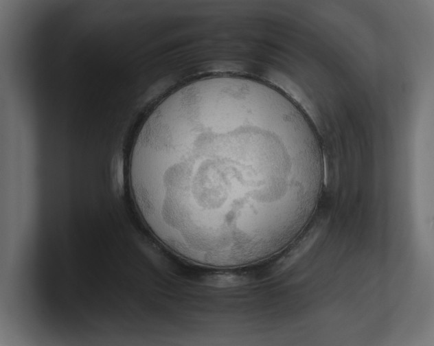 X0000100480253200806271208