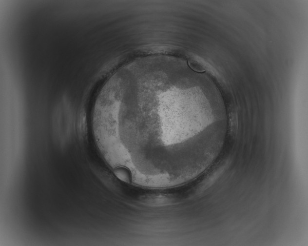 X0000100480254200806271208