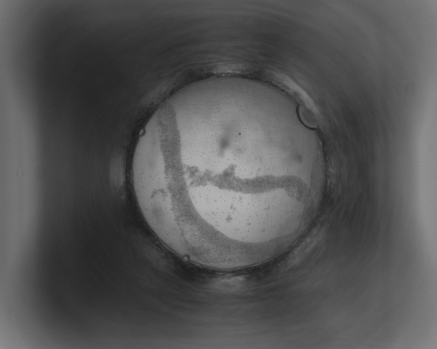 X0000100480257200806271208