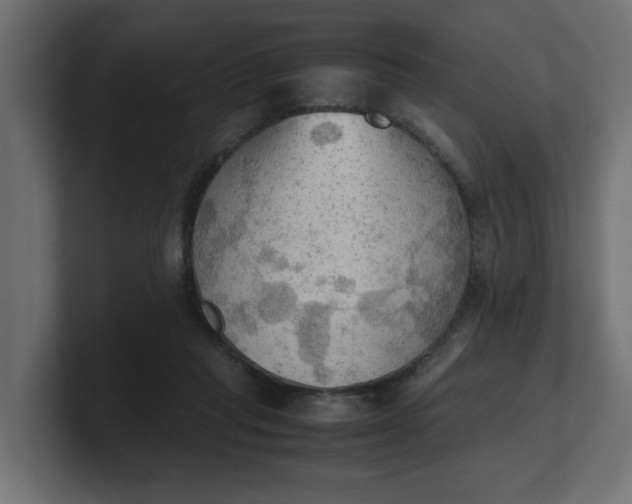X0000100480261200806271208