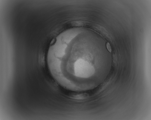 X0000100480267200806271208