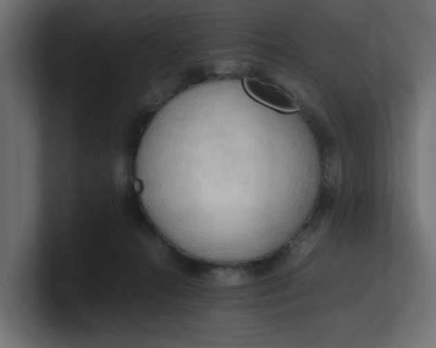 X0000100480272200806271208