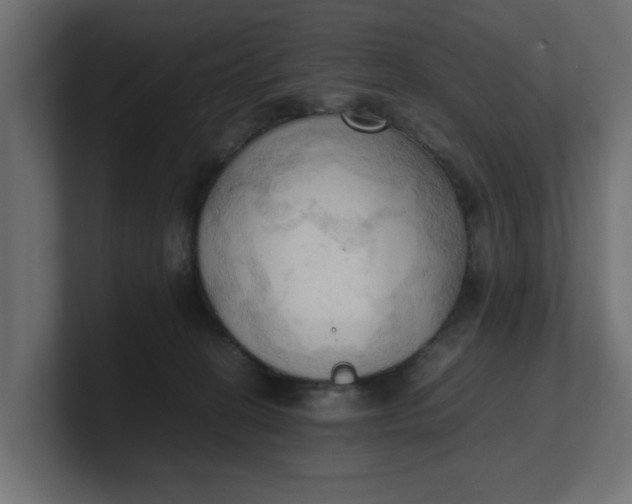 X0000100480274200806271208