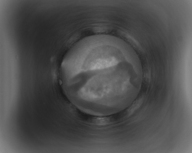 X0000100480277200806271208