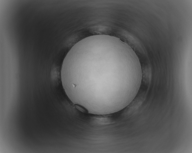 X0000100480284200806271209