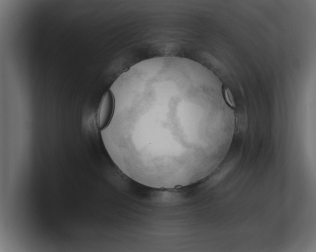 X0000100480286200806271209